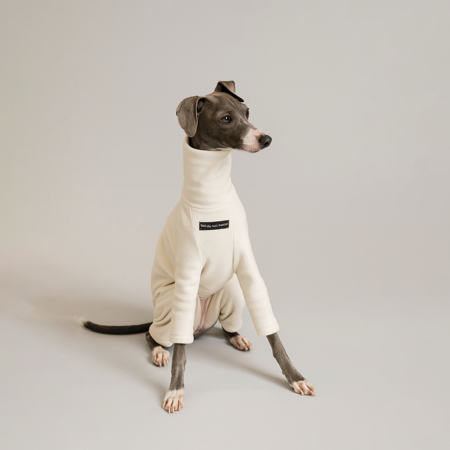 Dog Winter Turtleneck