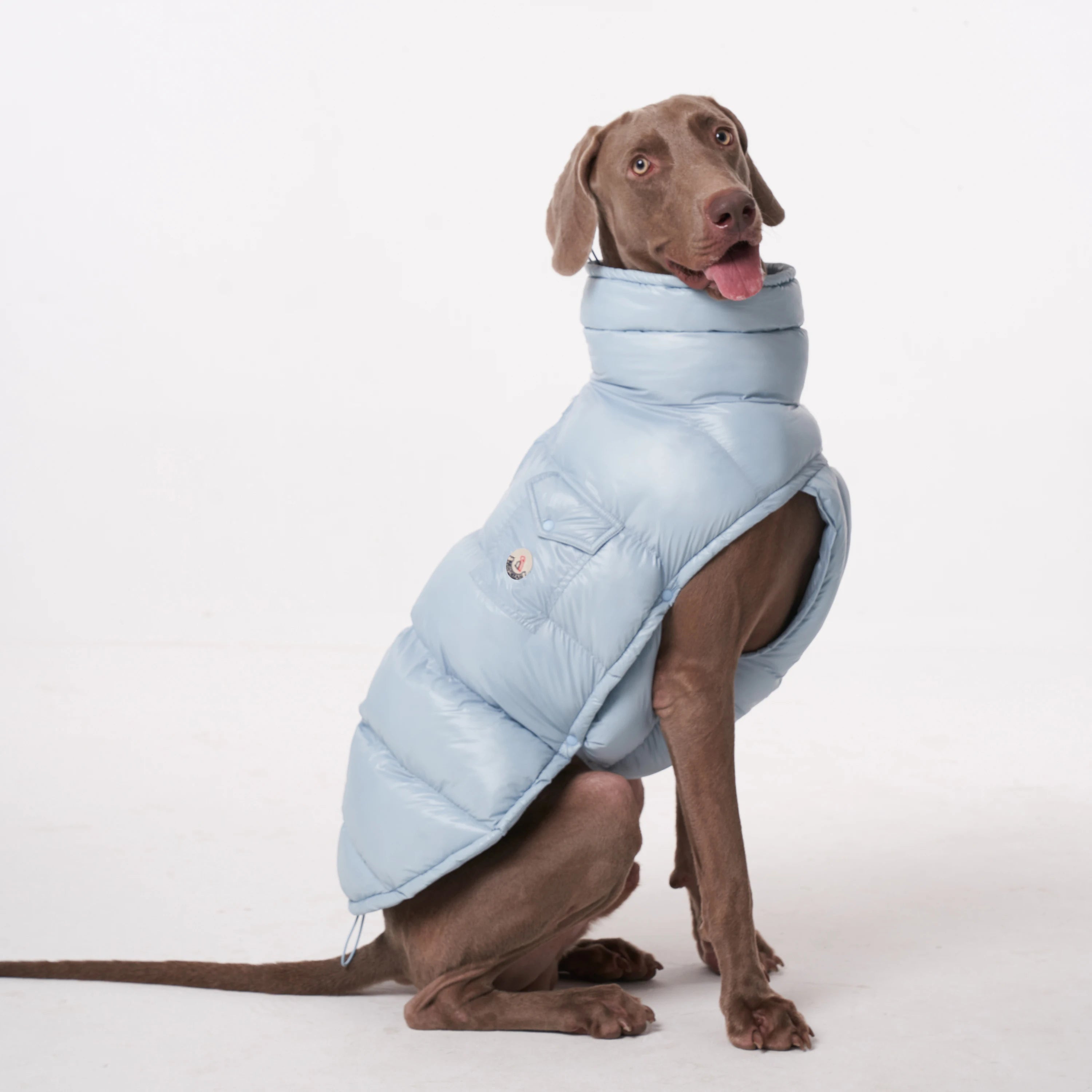 Dog Winter Coat