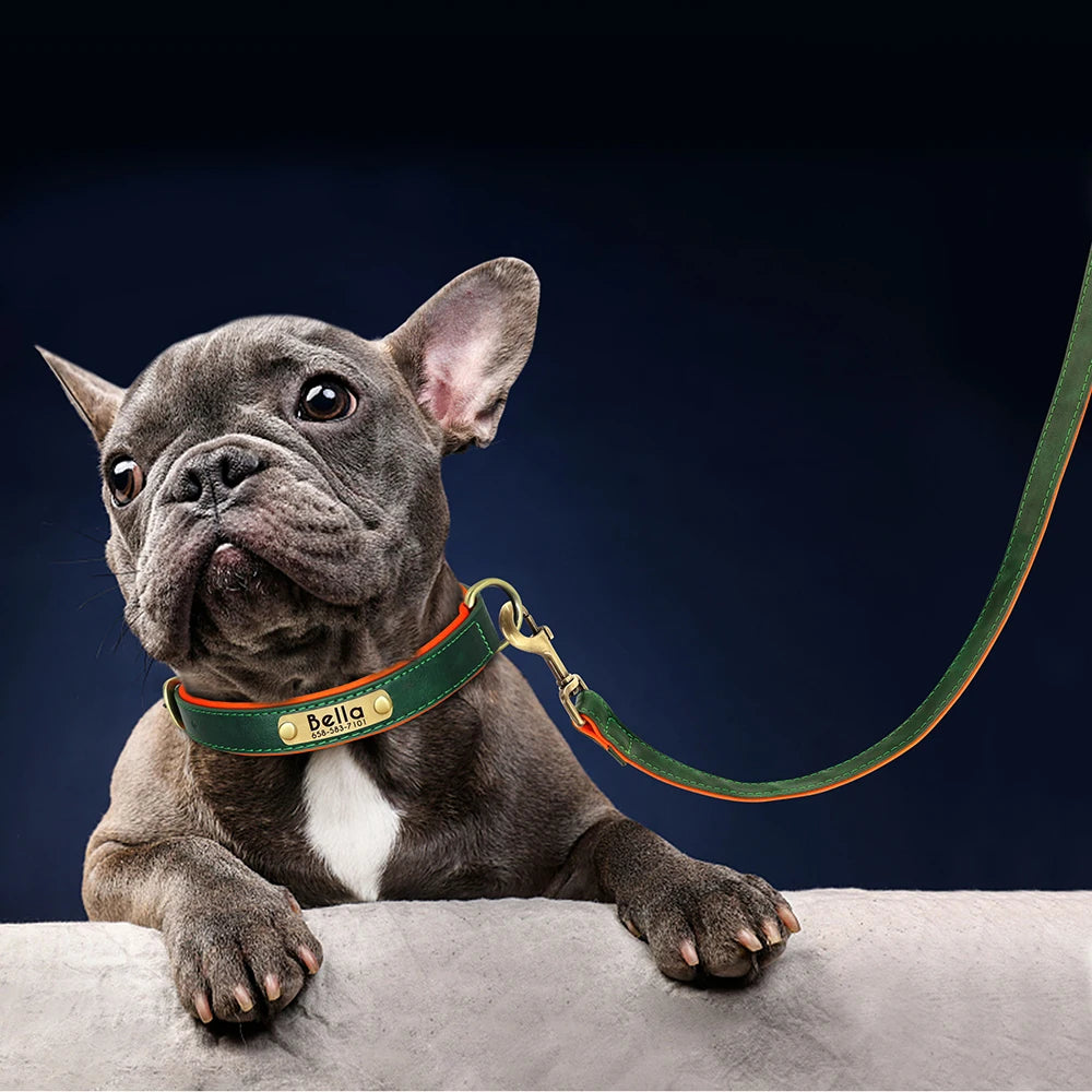 Leather Dog Collar Leash | Customised