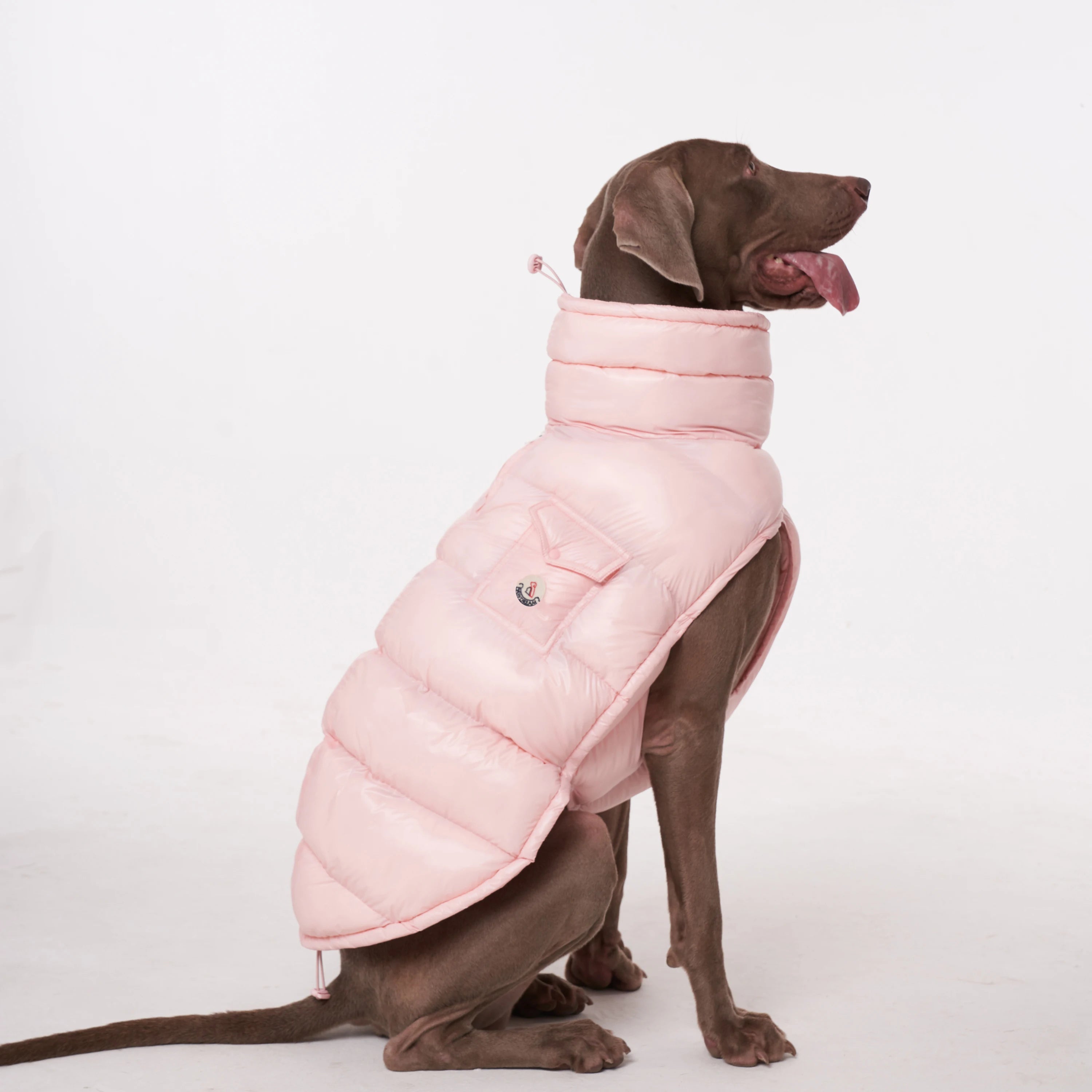 Dog Winter Coat