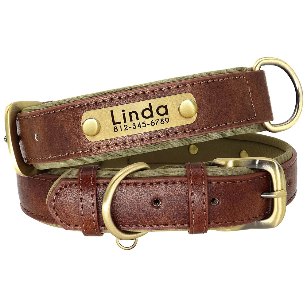 Leather Dog Collar Leash | Customised