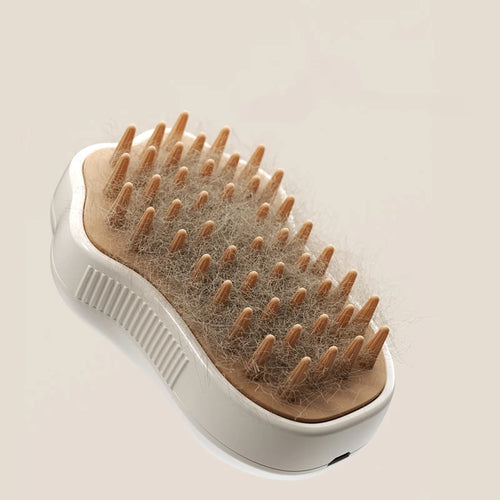 3-in-1 Steam Fur Brush | Paw