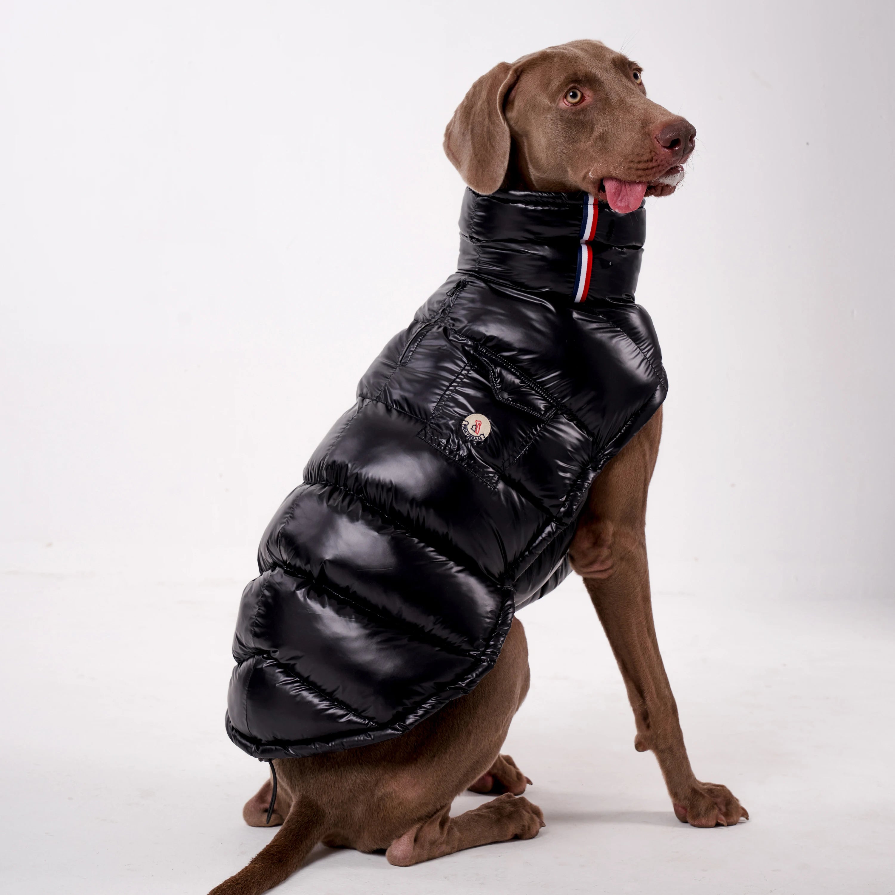 Dog Winter Coat